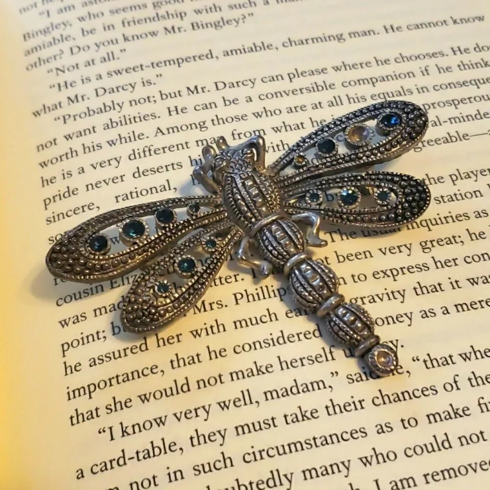 Dragon Fly Brooch‎